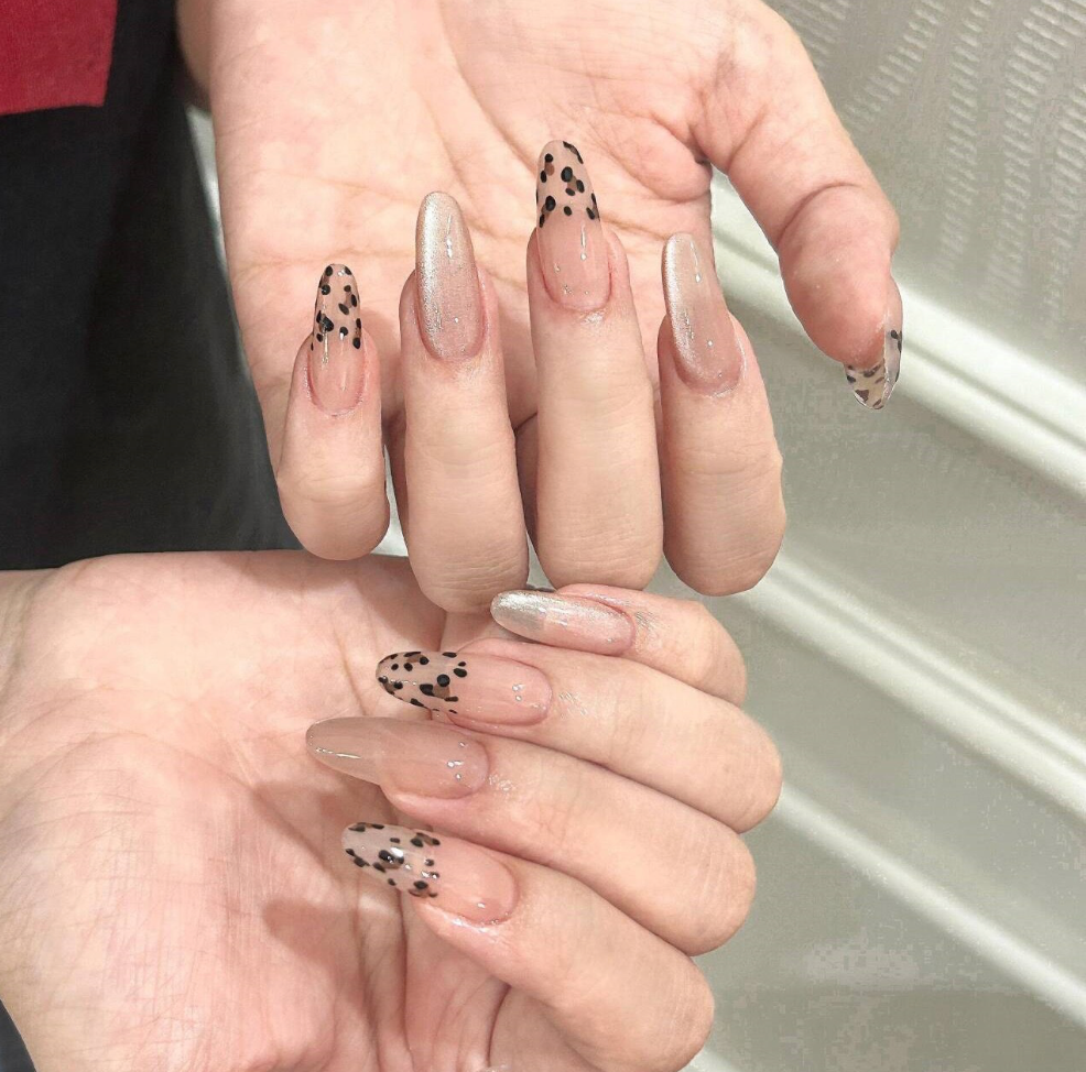 Glam Safari