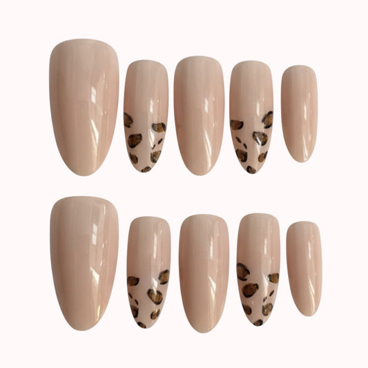 Glam Safari