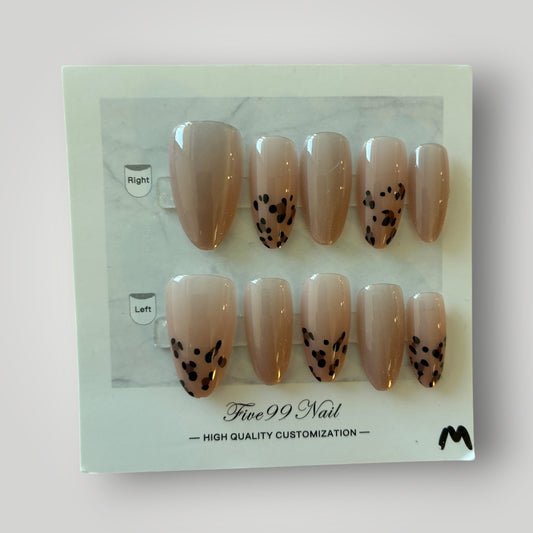 Glam Safari